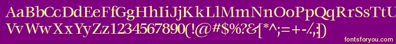Voracemediumssk Font – Yellow Fonts on Purple Background