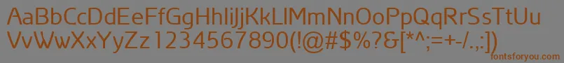 ArianAmuRegular Font – Brown Fonts on Gray Background