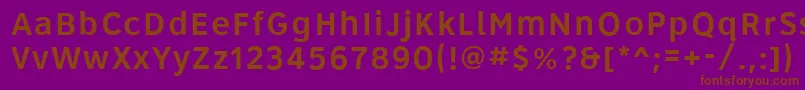 Roadgeek2005Series5wr Font – Brown Fonts on Purple Background