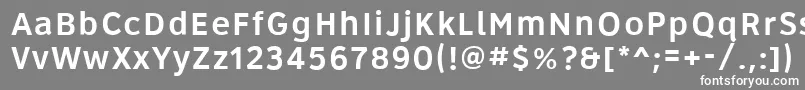 Roadgeek2005Series5wr Font – White Fonts on Gray Background
