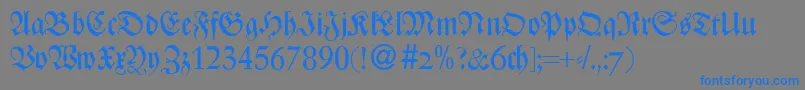 ZenturydbBold Font – Blue Fonts on Gray Background
