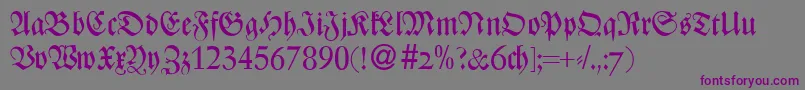 ZenturydbBold Font – Purple Fonts on Gray Background