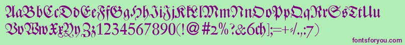 ZenturydbBold Font – Purple Fonts on Green Background