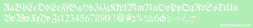 ZenturydbBold-Schriftart – Weiße Schriften auf grünem Hintergrund