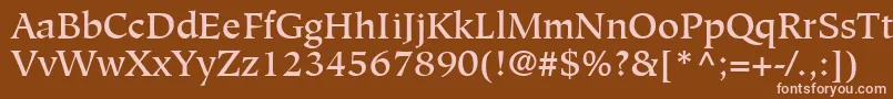 GlossaryMediumSsiMedium Font – Pink Fonts on Brown Background