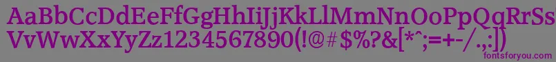 AccoladeserialBold Font – Purple Fonts on Gray Background