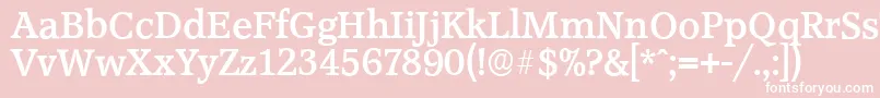 AccoladeserialBold Font – White Fonts on Pink Background