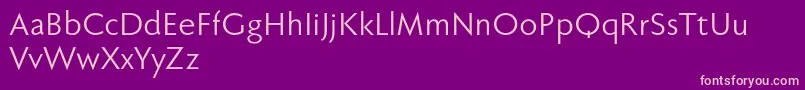 Fabersanspro55reduced Font – Pink Fonts on Purple Background