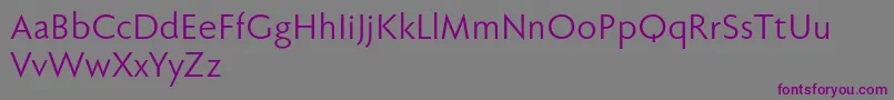 Fabersanspro55reduced Font – Purple Fonts on Gray Background