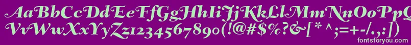 FairfieldLh86SwashHeavyItalicOldStyleFigures Font – Green Fonts on Purple Background