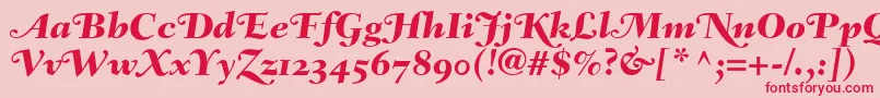 FairfieldLh86SwashHeavyItalicOldStyleFigures Font – Red Fonts on Pink Background