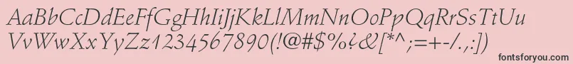 StempelschneidlerstdLtit Font – Black Fonts on Pink Background