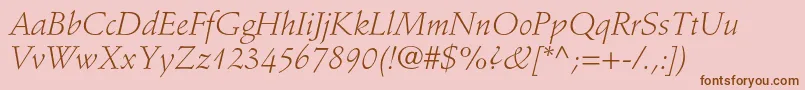 StempelschneidlerstdLtit Font – Brown Fonts on Pink Background