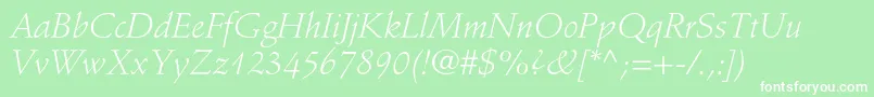 StempelschneidlerstdLtit Font – White Fonts on Green Background