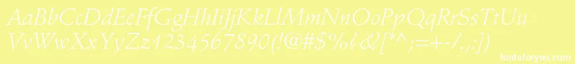 StempelschneidlerstdLtit Font – White Fonts on Yellow Background