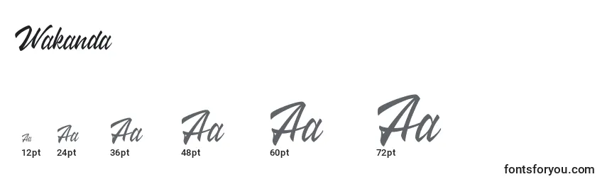 Размеры шрифта Wakanda