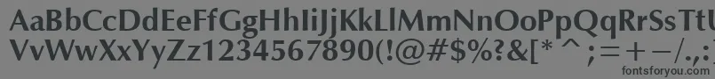 OpmB Font – Black Fonts on Gray Background