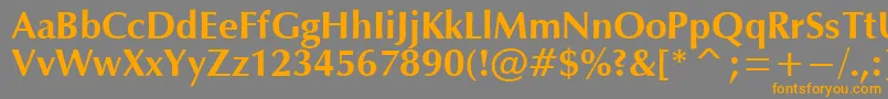 フォントOpmB – オレンジの文字は灰色の背景にあります。