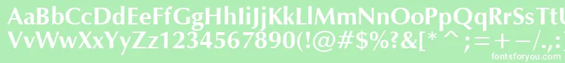 OpmB Font – White Fonts on Green Background