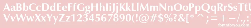 OpmB Font – White Fonts on Pink Background