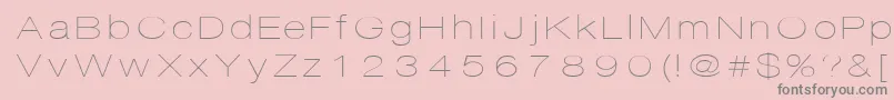 Disco Font – Gray Fonts on Pink Background