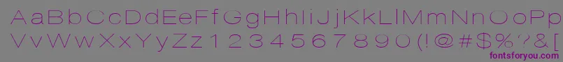 Disco Font – Purple Fonts on Gray Background