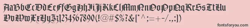 NotredameltstdRoman Font – Black Fonts on Pink Background