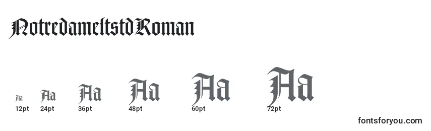NotredameltstdRoman Font Sizes