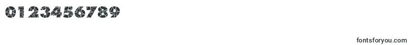 ShatterRegular Font – Fonts for Numbers and Digits