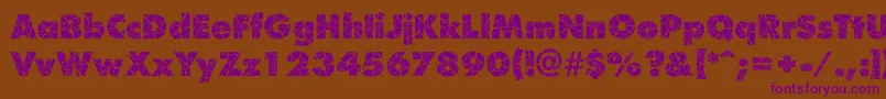 ShatterRegular Font – Purple Fonts on Brown Background