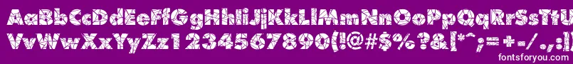 ShatterRegular Font – White Fonts on Purple Background