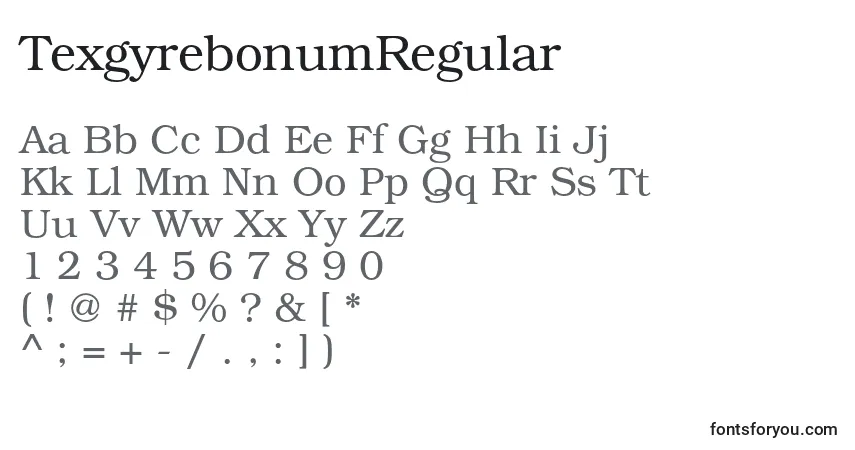 Czcionka TexgyrebonumRegular – alfabet, cyfry, specjalne znaki