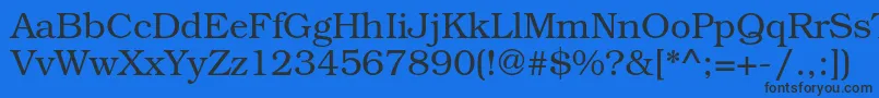 TexgyrebonumRegular Font – Black Fonts on Blue Background