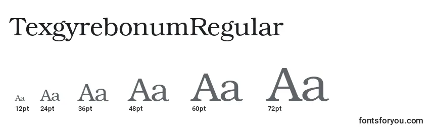 Размеры шрифта TexgyrebonumRegular