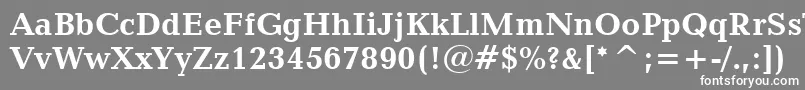 フォントCandidaBoldBt – 灰色の背景に白い文字