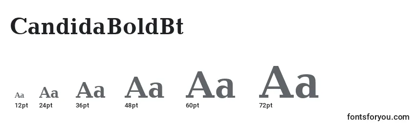 Размеры шрифта CandidaBoldBt
