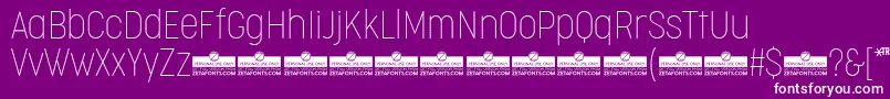 フォントCocogooseCondensedThinTrial – 紫の背景に白い文字