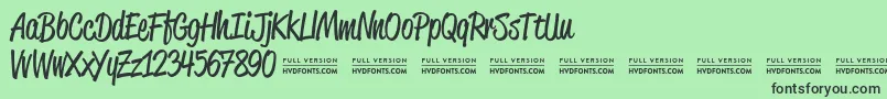 ReklamescriptRegularDemo Font – Black Fonts on Green Background