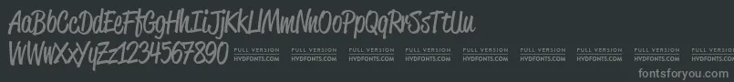 ReklamescriptRegularDemo Font – Gray Fonts on Black Background