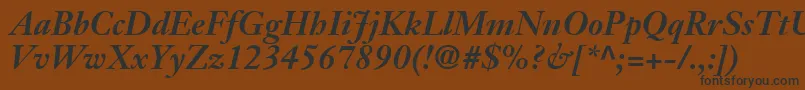 JansonSsiBoldItalic Font – Black Fonts on Brown Background