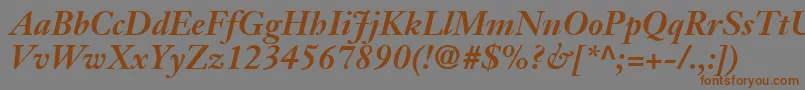 JansonSsiBoldItalic Font – Brown Fonts on Gray Background