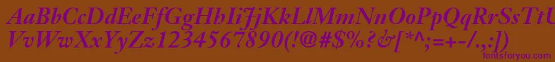 JansonSsiBoldItalic Font – Purple Fonts on Brown Background