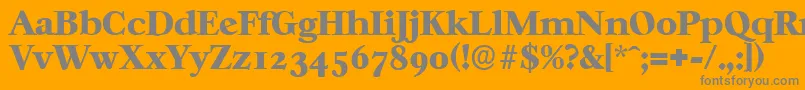 CasablancaserialHeavyRegular Font – Gray Fonts on Orange Background