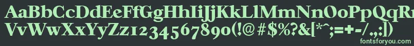 フォントCasablancaserialHeavyRegular – 黒い背景に緑の文字