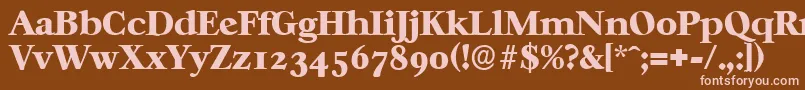 CasablancaserialHeavyRegular Font – Pink Fonts on Brown Background