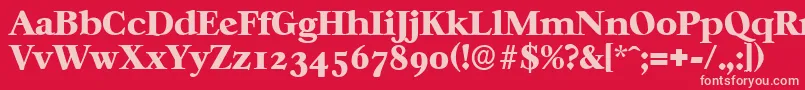 CasablancaserialHeavyRegular Font – Pink Fonts on Red Background