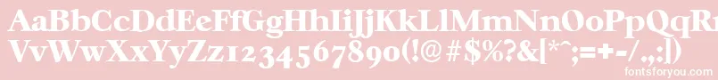 CasablancaserialHeavyRegular Font – White Fonts on Pink Background