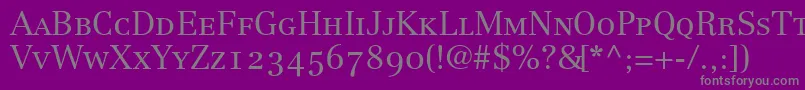 CenturyRepriseLightoldstyleSsiLightSmallCaps Font – Gray Fonts on Purple Background