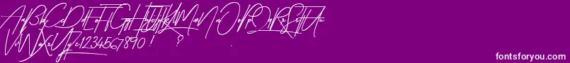 TakenByVulturesDemo Font – White Fonts on Purple Background