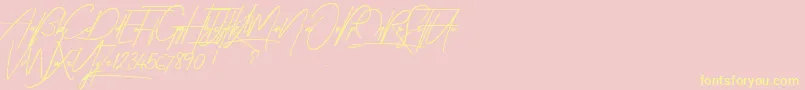 TakenByVulturesDemo-Schriftart – Gelbe Schriften auf rosa Hintergrund